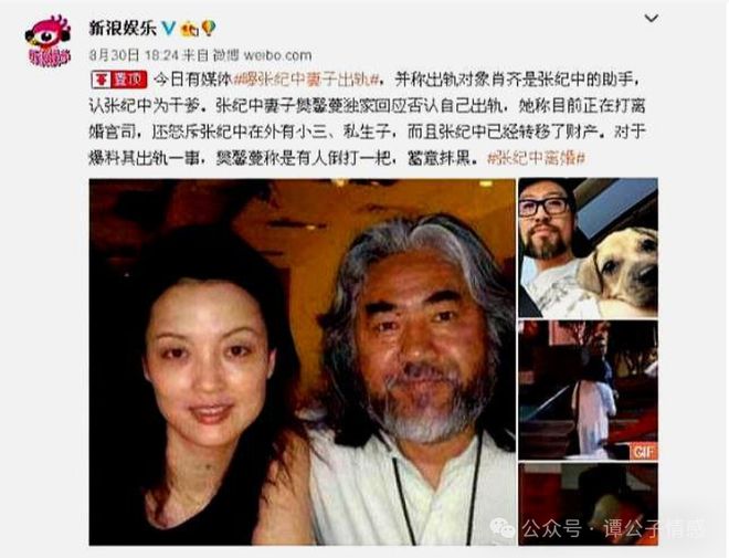 张纪中前妻公司成老赖，婚姻背后的商业风波揭秘