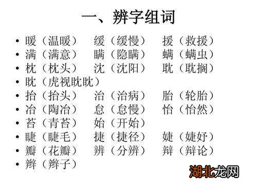 慷组词语的魅力，语言、情感与美的交融