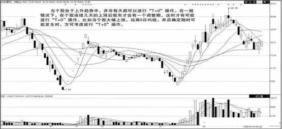 深度解析，中国长期持有的唯一股票投资视角