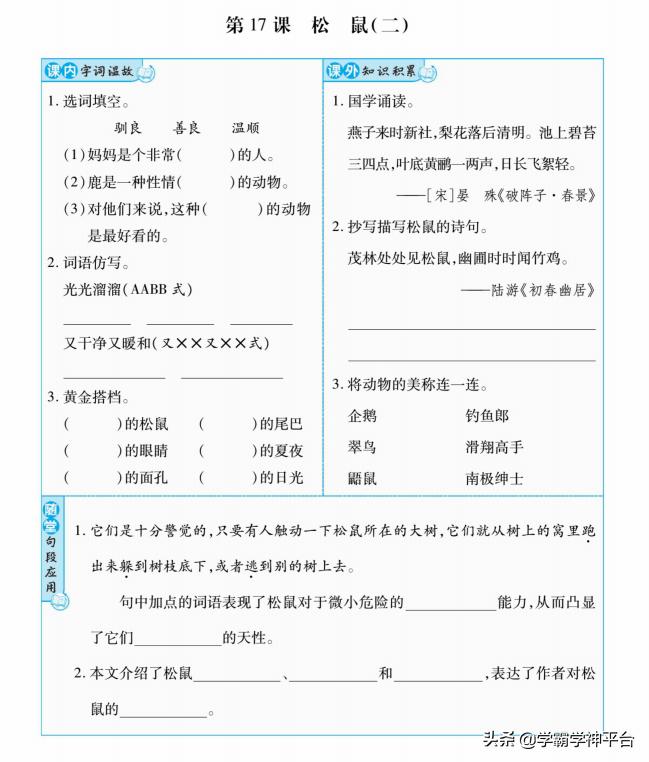 父爱之舟教学反思，第19课的深刻启示与感悟