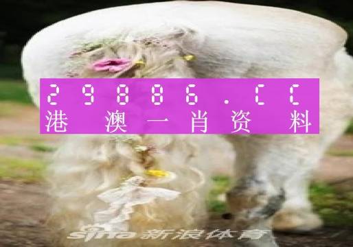 澳门一肖一码一中必中,未来展望解析说明_优选版37.895