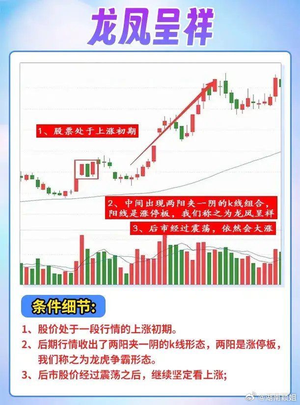 龙凤祥一肖一码,实地评估策略_试用版48.324