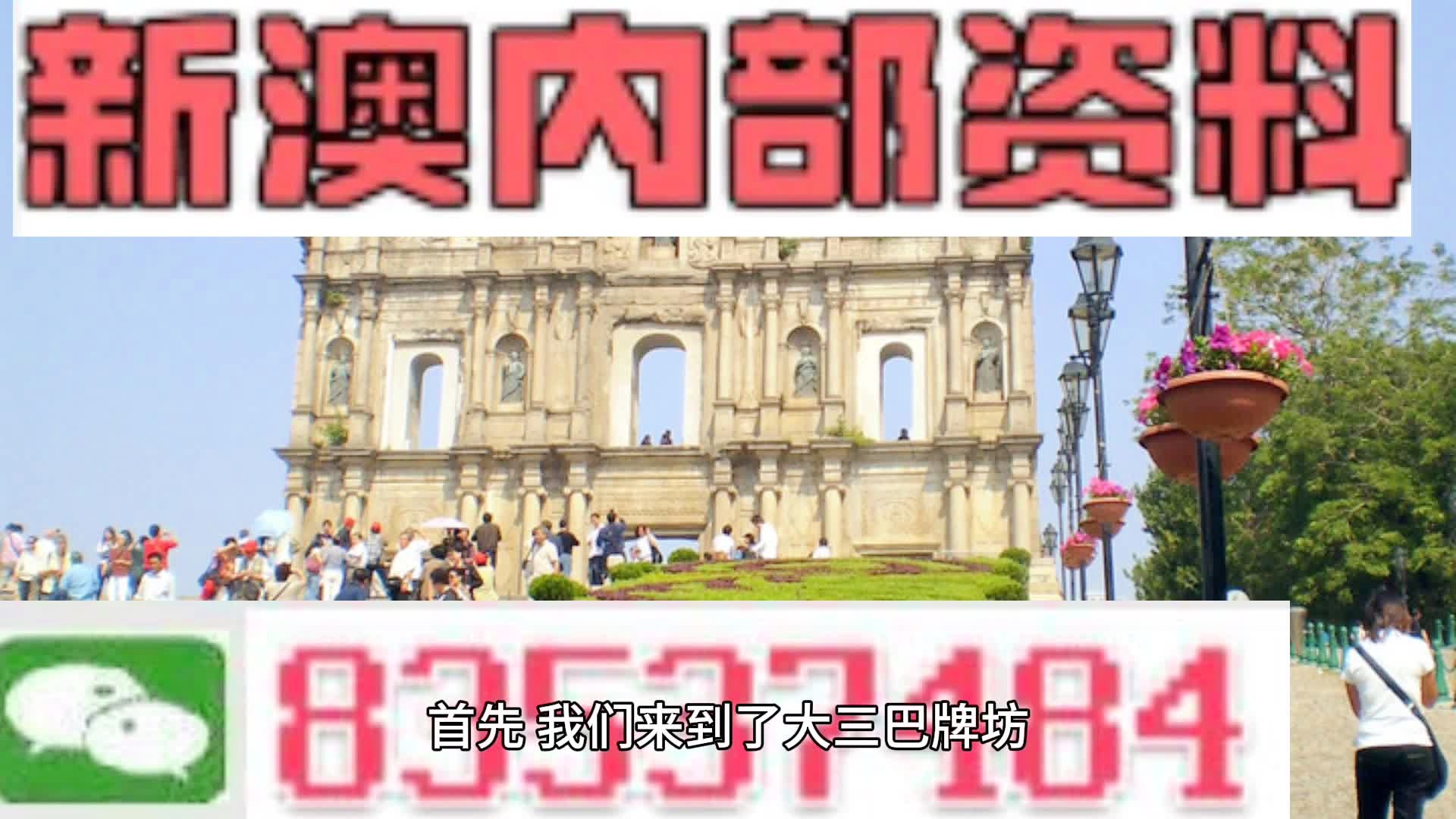 2024新澳精准免费资料,最新方案解析_P版89.300