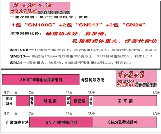 新澳2024年精准特马资料,重要性方法解析_CT83.250