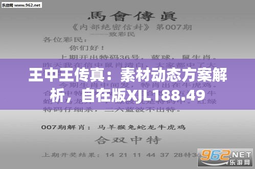 7777788888王中王传真,实地执行分析数据_微型版83.194