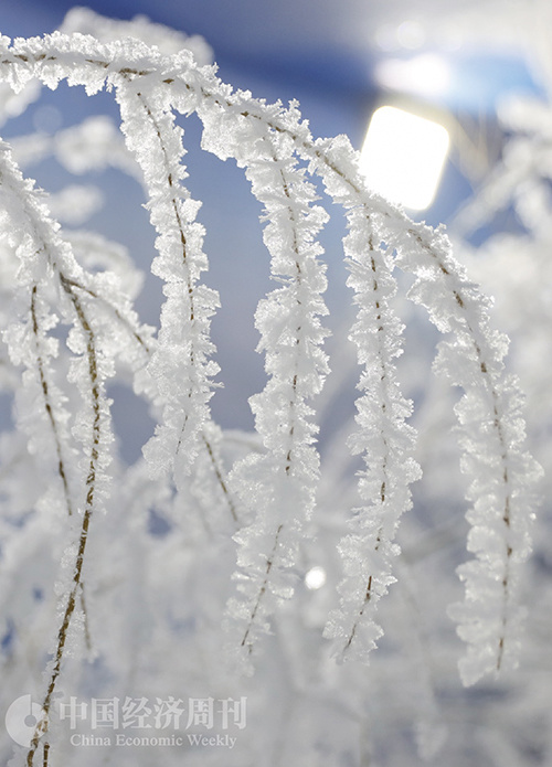 新质生产力与冰雪经济，共创繁荣的新领域篇章