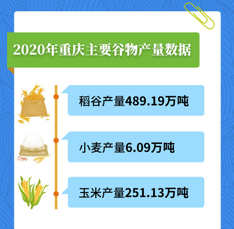 新奥天天免费资料大全正版优势,高效计划设计实施_2D68.67