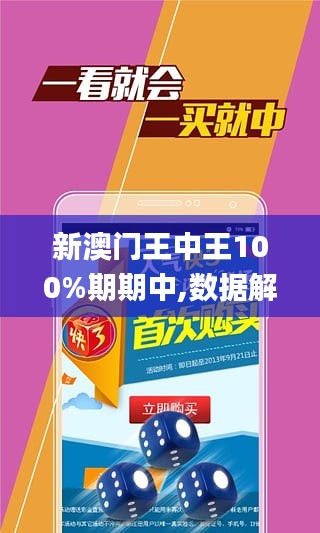 新澳门王中王100%期期中,适用性策略设计_试用版78.356