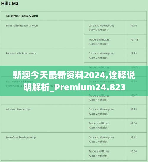 新澳2024最新资料,实践调查解析说明_9DM27.300