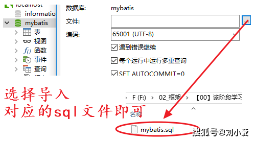 管家婆一码一肖必开,数据驱动实施方案_V版91.421