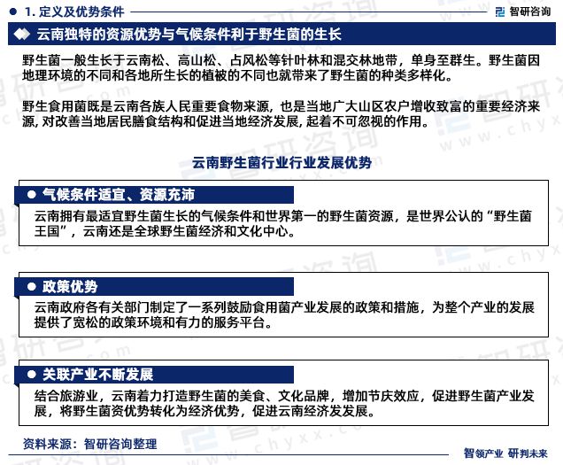 2023澳门六今晚开奖结果出来,深度应用数据解析_游戏版91.185