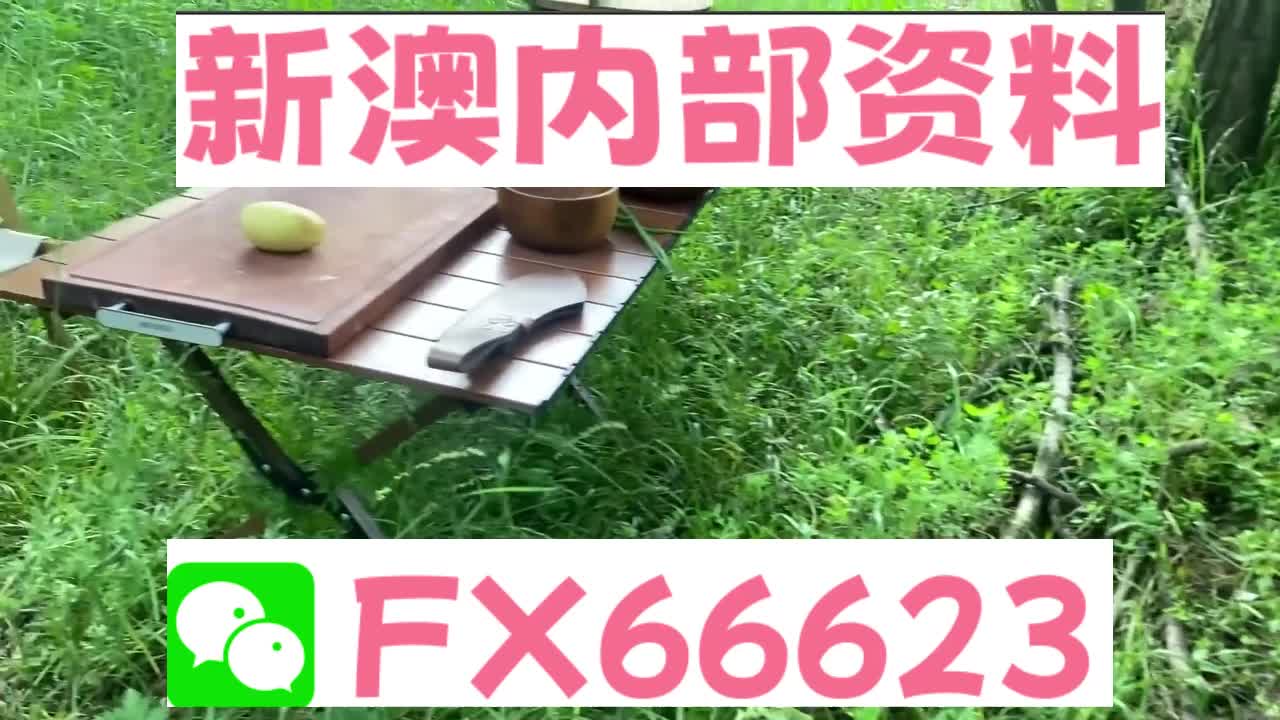 新澳精准内部码资料期期准,权威诠释推进方式_标准版40.297