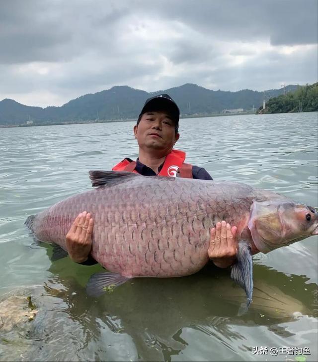 奇迹诞生，关键时刻挽救两条生命的英雄故事