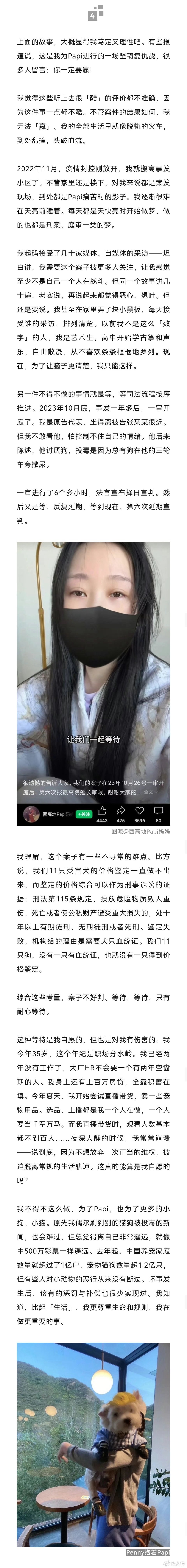 831天追凶路，为被投毒小狗伸张正义