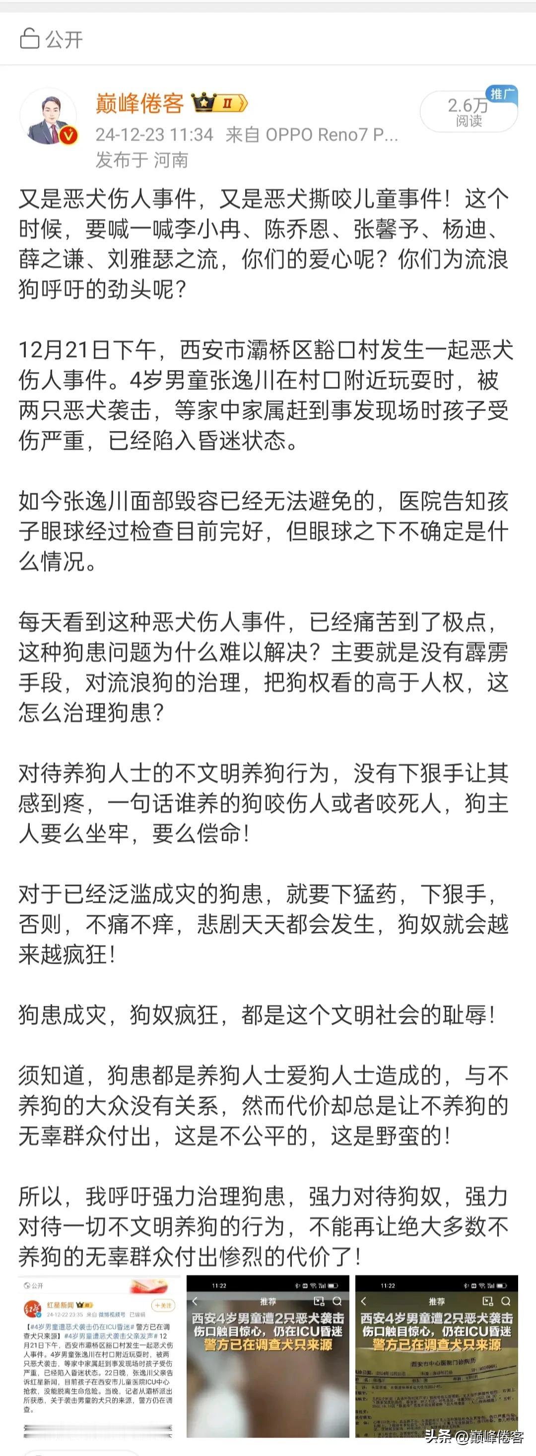 西安警方通报男童遭恶犬咬伤事件，事件背后的反思与行动至关重要