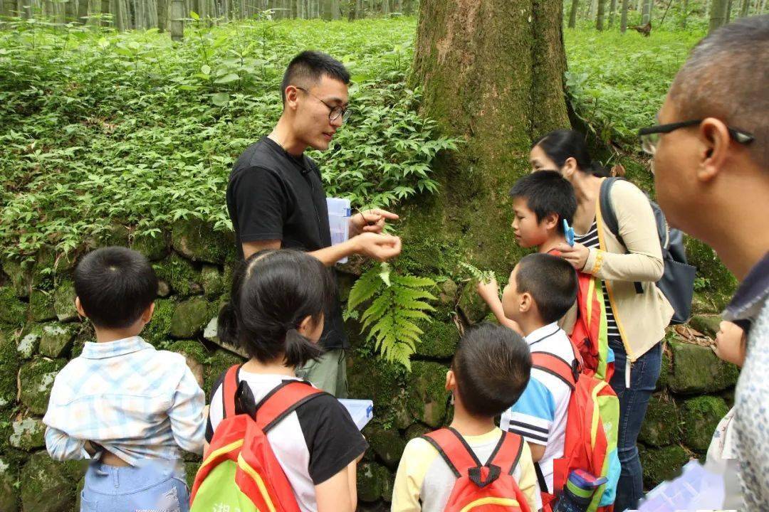 五岁孩童的植物学启蒙课，知识与乐趣的交融交流