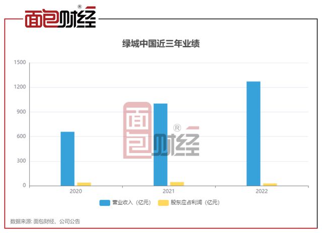 胖东来商贸集团，销售额近170亿元的辉煌成就及未来展望