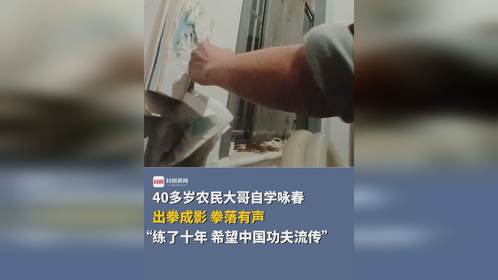 中医医生练咏春拳至残影境界，医术拳技融合提升