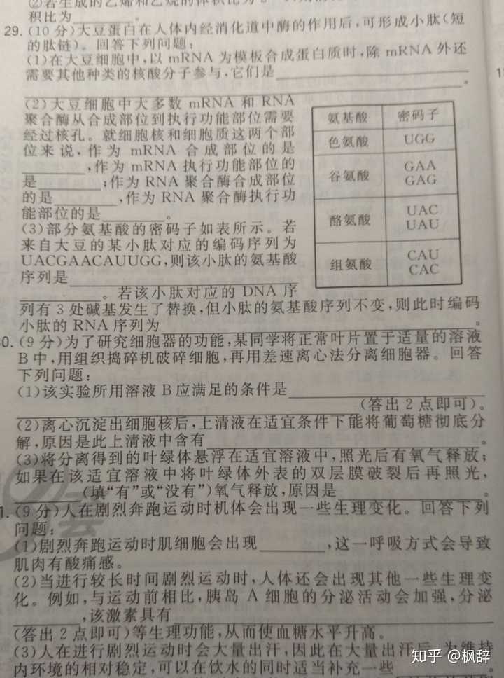 高中化学，挑战与魅力的探究——科目难度与魅力的解析