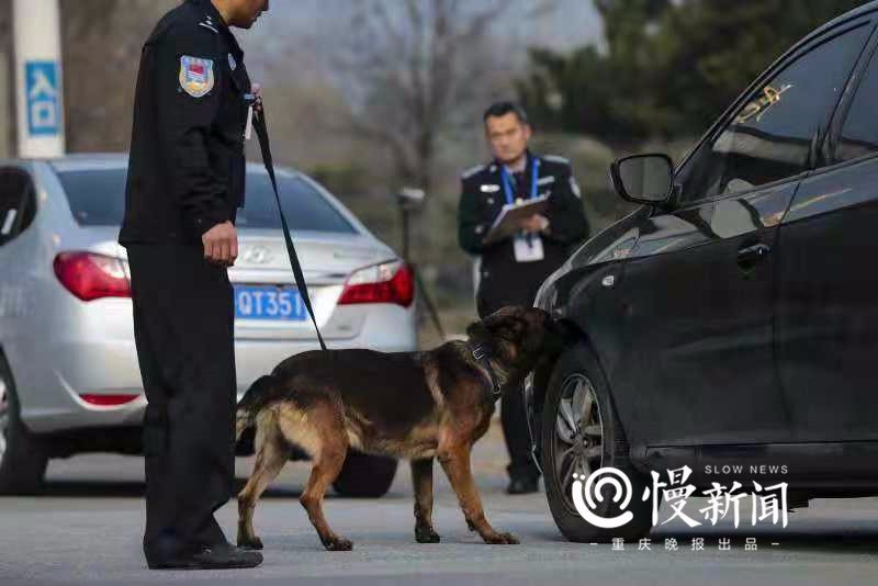 警犬因工作环境恶劣致年终奖被没收