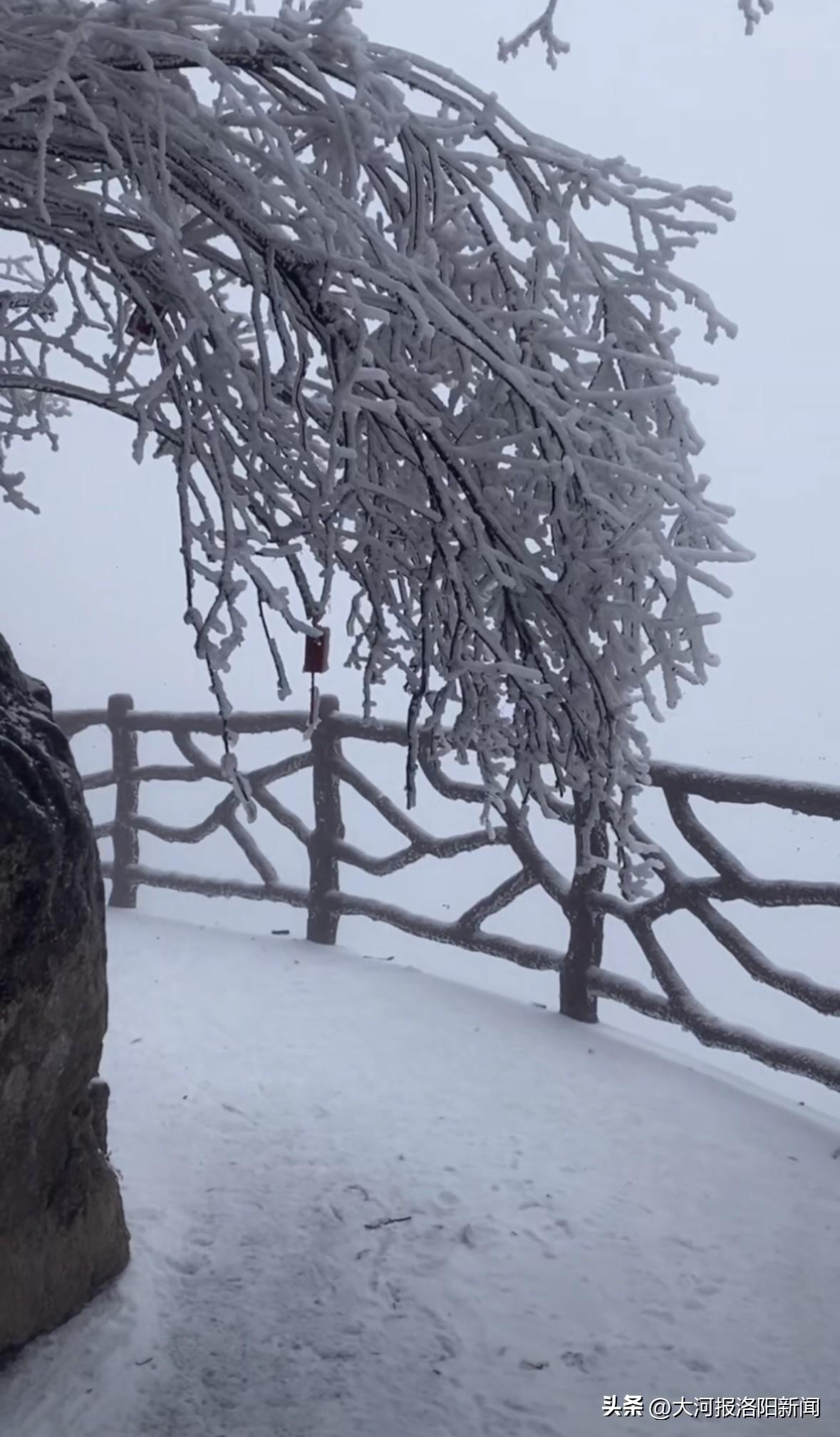 洛阳雪韵，古都冬日的神韵与雪舞交织