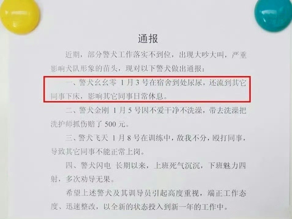 四只警犬点名通报批评，反思与改进之必要举措