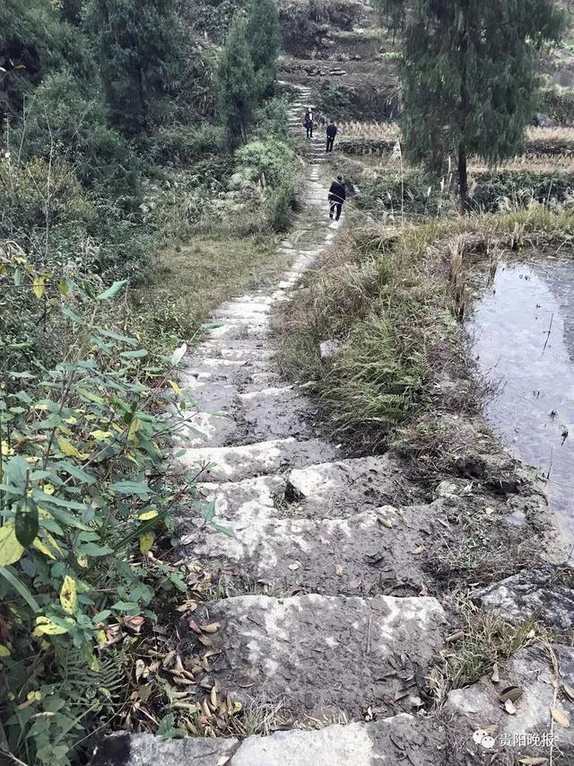 西藏震后重建真相揭秘，探究不实信息的解析