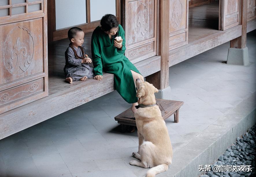 赵丽颖敲木鱼送祝福，喜庆又幽默的拜年视频！