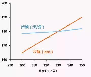 跑步之道，大步幅与快步频的平衡追求之道