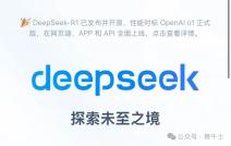 DeepSeek实习生薪酬揭秘，一天500元的背后故事