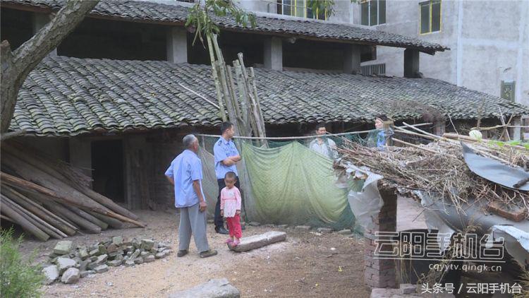 鸡蛋失窃案频发预警，美国警方呼吁警惕频繁作案