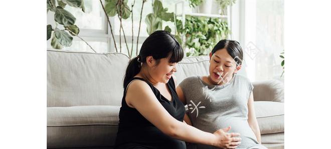 丁克夫妇的隐秘选择，丈夫外生子的选择与后果思考