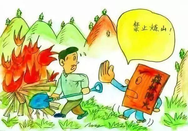 7岁孩童玩火引发山火，家长赔偿巨额损失引发责任教育反思