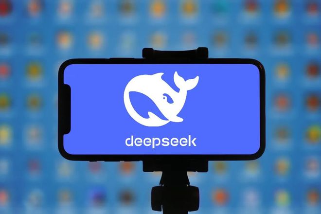 DeepSeek，助力高效完成作业的神器