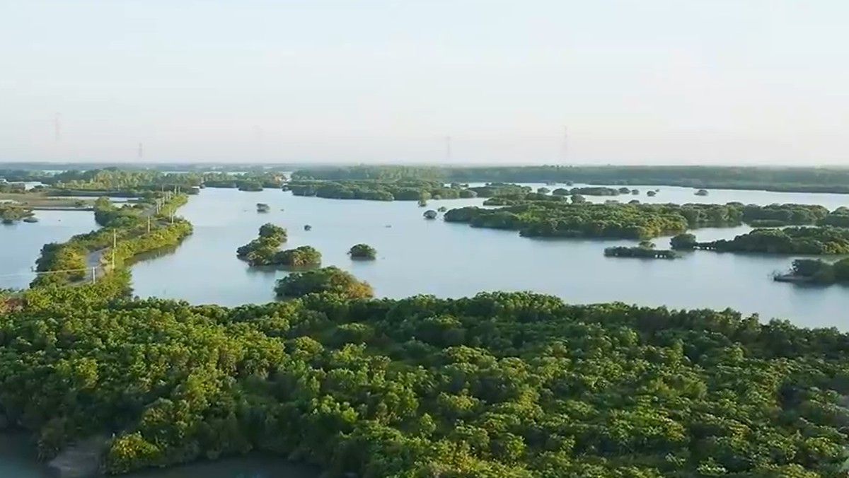 海岸线上的绿色国宝，自然与文化和谐交融的瑰宝