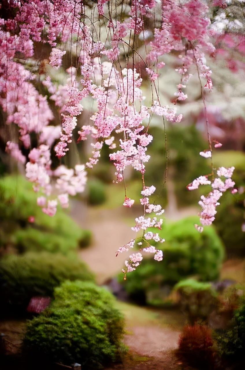 春雨滋润万物，生机勃发——春分时节来临