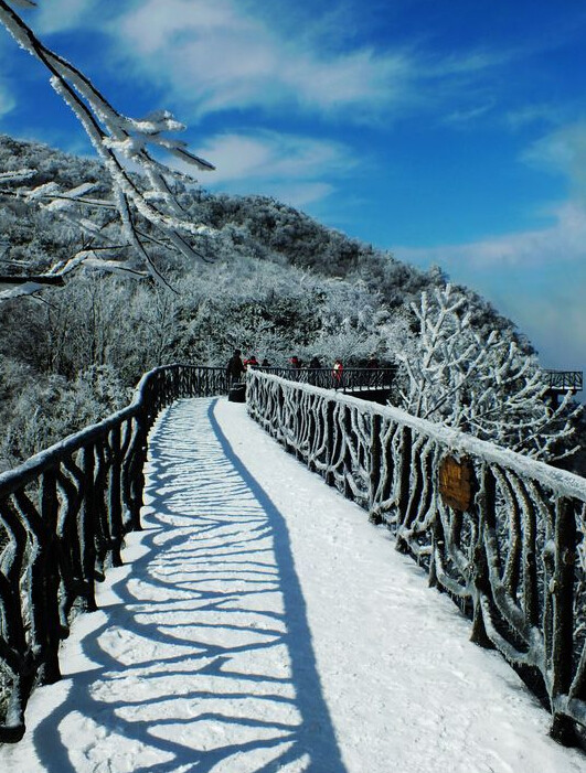 女子雪天攀爬张家界天梯，挑战自然极限，展现坚韧之美