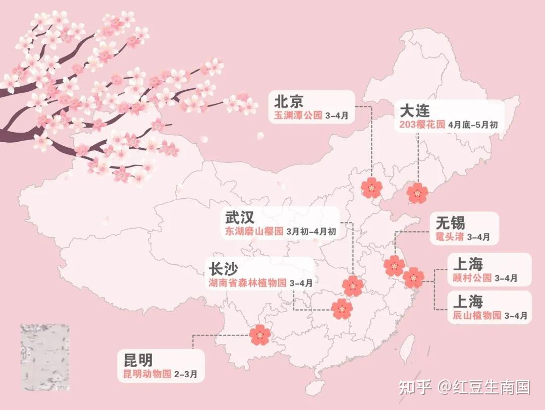 春日樱花地图，探寻樱花奇幻之旅