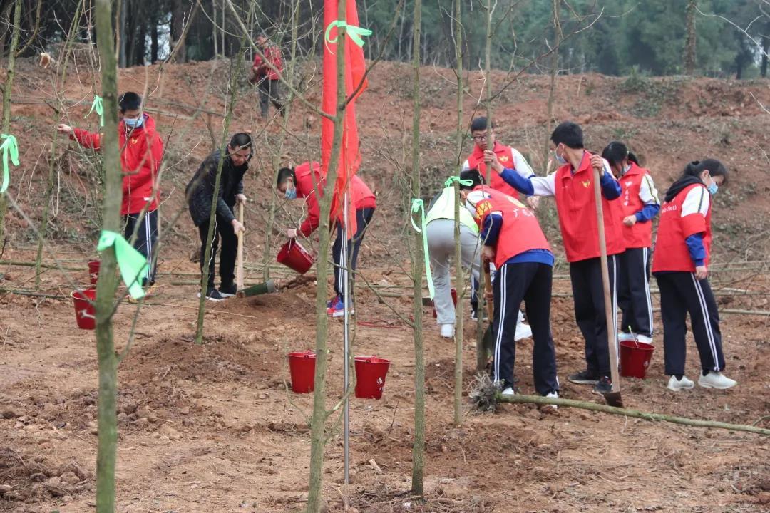 增绿就是增优势 植树就是植未来